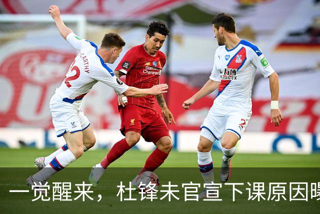 一觉醒来，杜锋未官宣下课原因曝光！徐杰确定留队，陈家政好消息