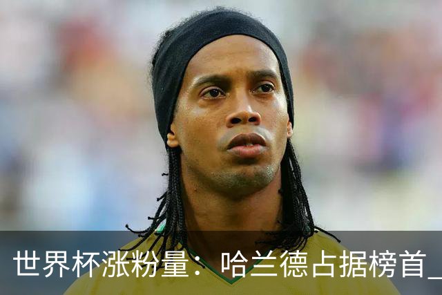 世界杯涨粉量：哈兰德占据榜首 沃齐尼亚粉丝涨幅97900%