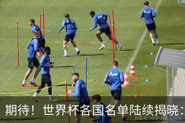 期待！世界杯各国名单陆续揭晓：至少7名现役或前中超外援入围