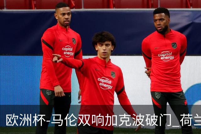 欧洲杯-马伦双响加克波破门 荷兰3-0罗马尼亚