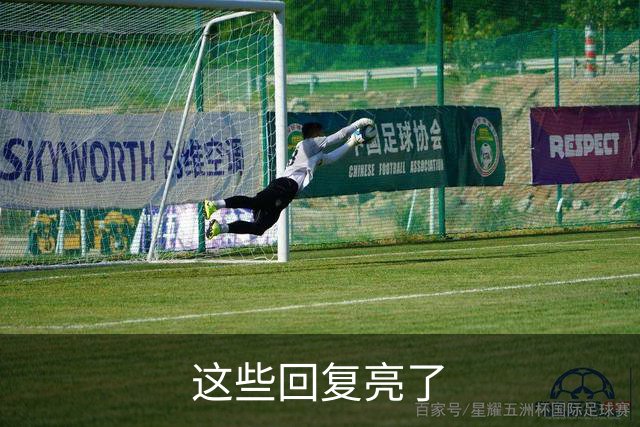这些回复亮了