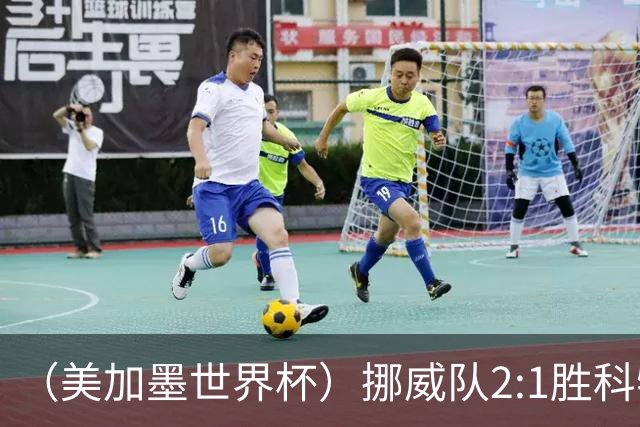 （美加墨世界杯）挪威队2:1胜科特迪瓦队 时隔28年重返16强