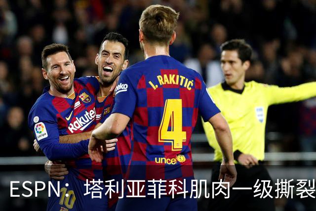 ESPN：塔利亚菲科肌肉一级撕裂，至少缺席世界杯前两场小组赛